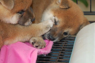 20150805a-a-35(5)
