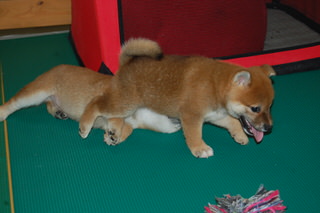20150805a-a-50(3)