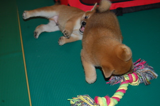 20150805a-a-50(4)