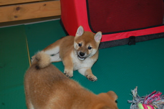 20150805a-a-50(5)