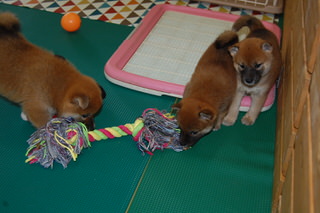 20150821a-a-35(3)