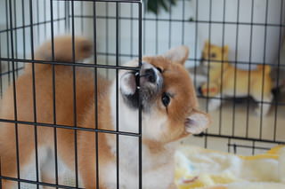 20150918a-a-50(10)