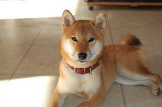 blog_s_20151118(10)