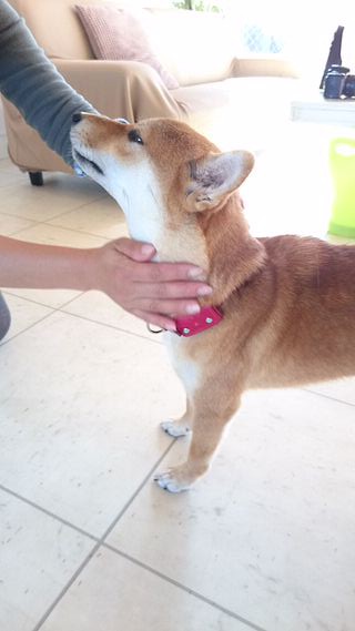 blog_s_20151118(11)