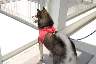 blog20160629(5)