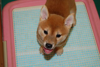 20160620a-a-50(7)