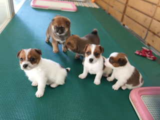 blog20170129(2)
