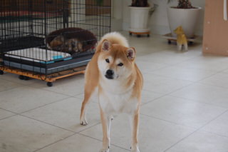 blog20170327(2)