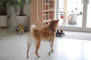 blog20170327(6)